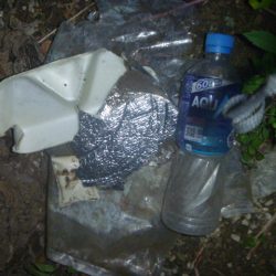 清掃活動：濁りバス