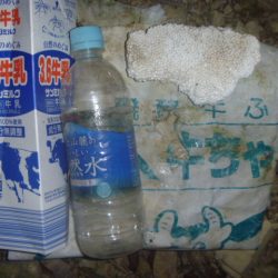 清掃活動：八月なまず