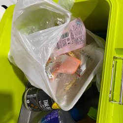 清掃活動：台風の影響下でイカメタル