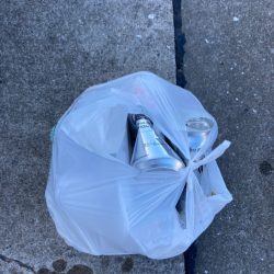 清掃活動：チヌ活性高い