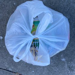 清掃活動：大きめなアジ回遊してます