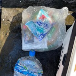 清掃活動：青物調査