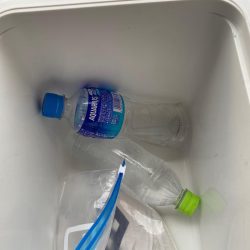 清掃活動：台風後の波止イカ