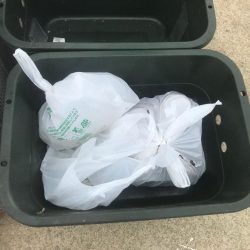 清掃活動：栄真丸カットウフグ