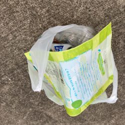 清掃活動：イワシの群れ確認