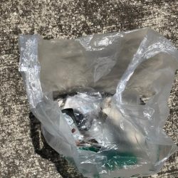 清掃活動：紀ノ川で投げ釣り