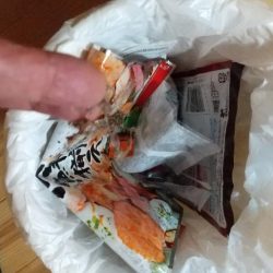 清掃活動：キス釣り