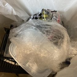 清掃活動：夕涼みファミリーフィッシング