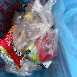 清掃活動：ファミリーフィッシング