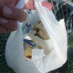 清掃活動：中潮凪