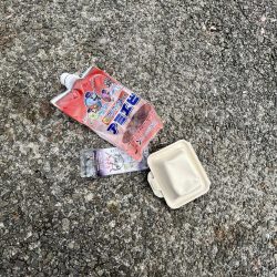 清掃活動：五目釣りゲソ