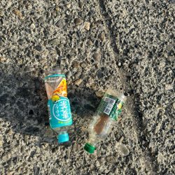 清掃活動：台風後の深日港、夜釣り