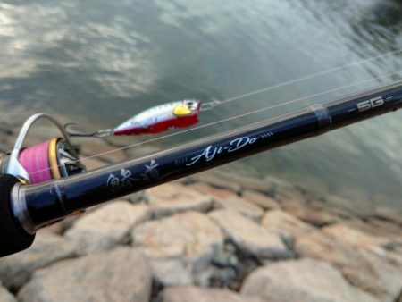 仕事帰りにチヌトップ