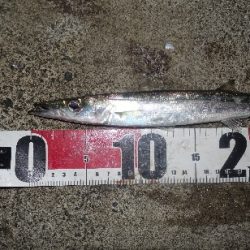 秋を感じる波のうねり