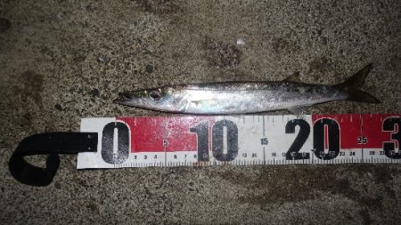 秋を感じる波のうねり