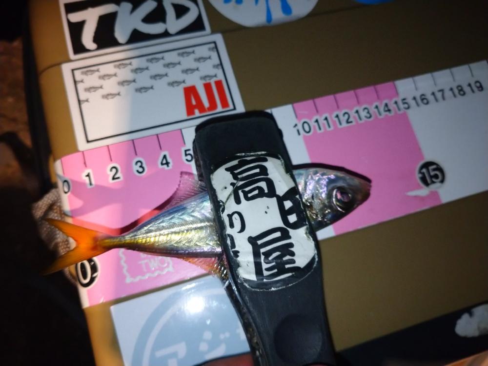 今夜はアジング修行