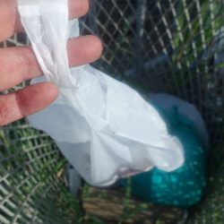 清掃活動：中潮凪