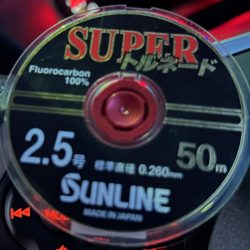 チヌポでキビレ！