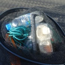 清掃活動：長潮凪