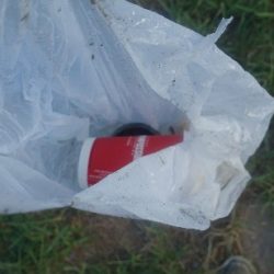 清掃活動：秋を感じる波のうねり