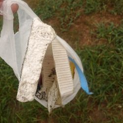 清掃活動：小雨凪潮の曇り空