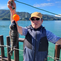 和歌山マリーナシティ釣り公園釣果