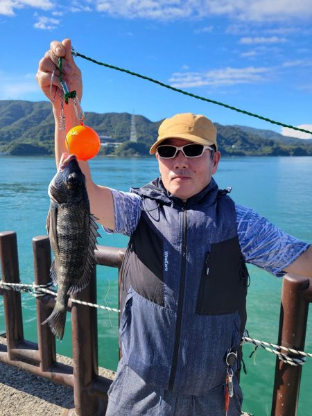 和歌山マリーナシティ釣り公園釣果