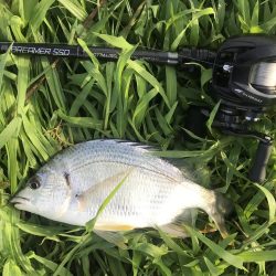 久々の淀川チニング