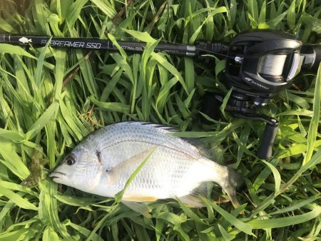 久々の淀川チニング