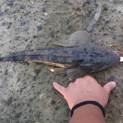 久しぶりの仕事前の朝練成功♪