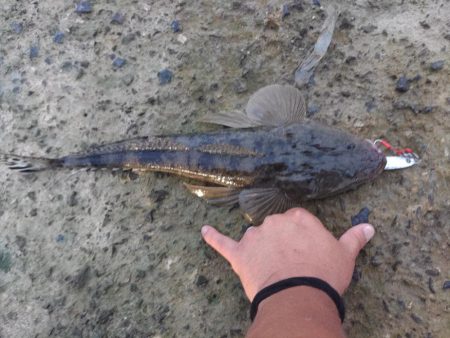 久しぶりの仕事前の朝練成功♪