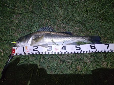 久しぶりの一本