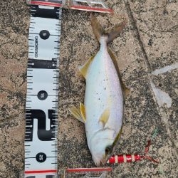 スマホのカメラに