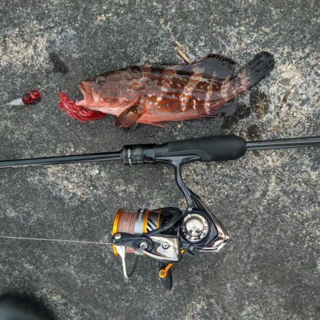 下手くそすぎる