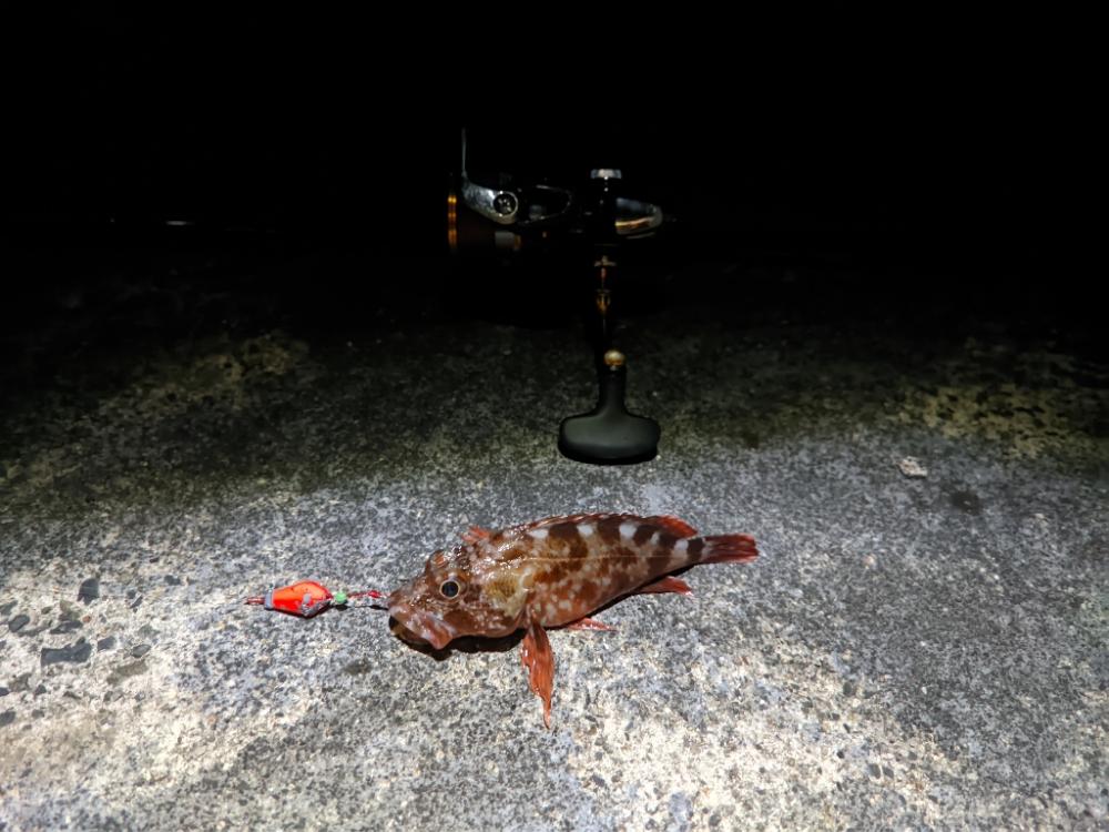 風が強い日はだめ