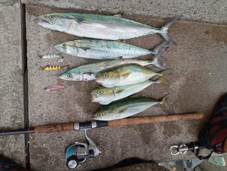 プチsalt water game