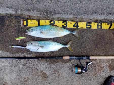 プチsalt water game