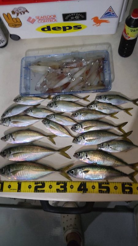 脂ノリノリのアジが食べたくて