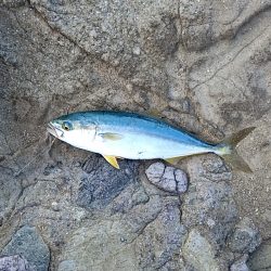 まだまだ夏を引きずってる感じ！