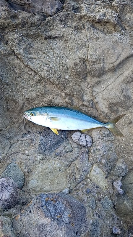 まだまだ夏を引きずってる感じ！