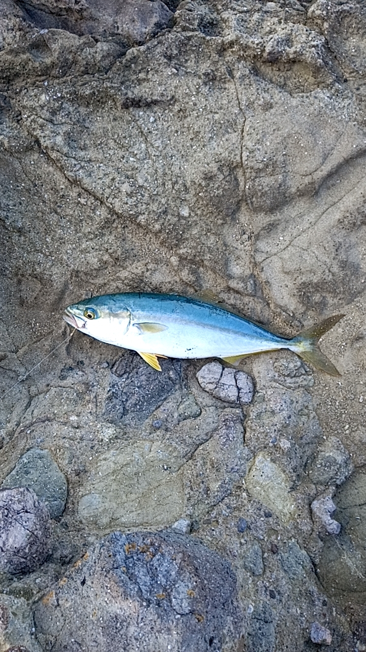 まだまだ夏を引きずってる感じ！