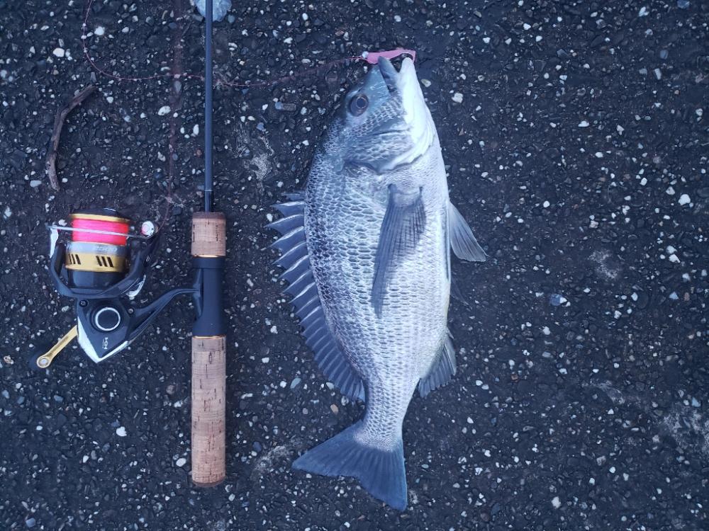 釣り散歩