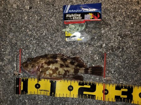 カサゴイベント