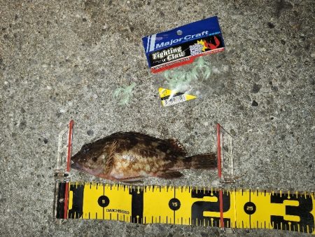 カサゴイベント