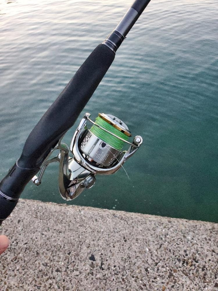 タチウオ 大漁です!