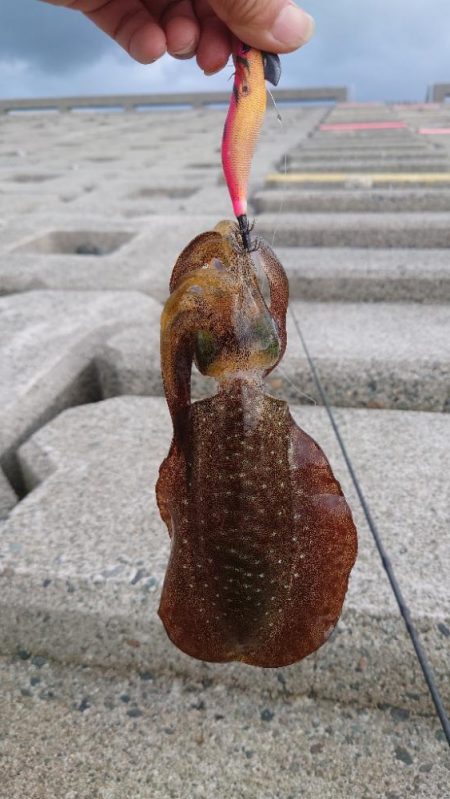 久しぶりの釣行