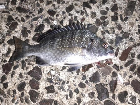 台風あとの濁りを攻める