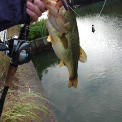 仕事前フィッシング