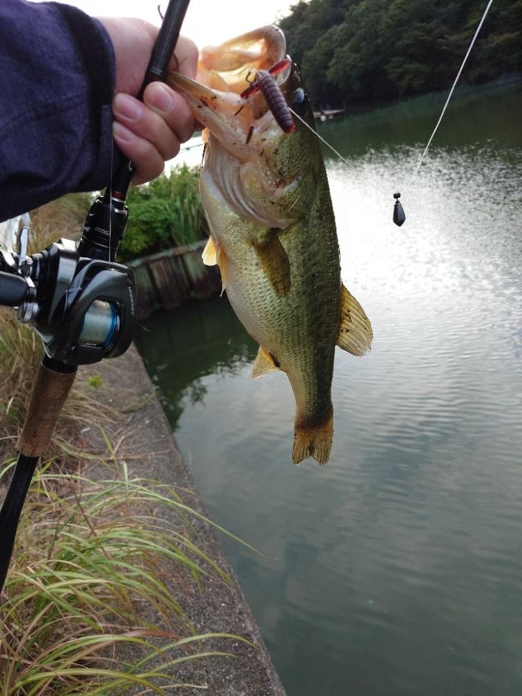 仕事前フィッシング