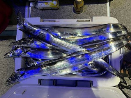 タチウオテンヤで大漁でした